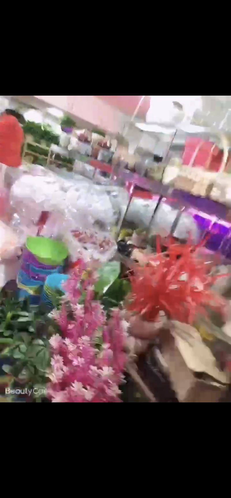 花鳥魚轉(zhuǎn)讓