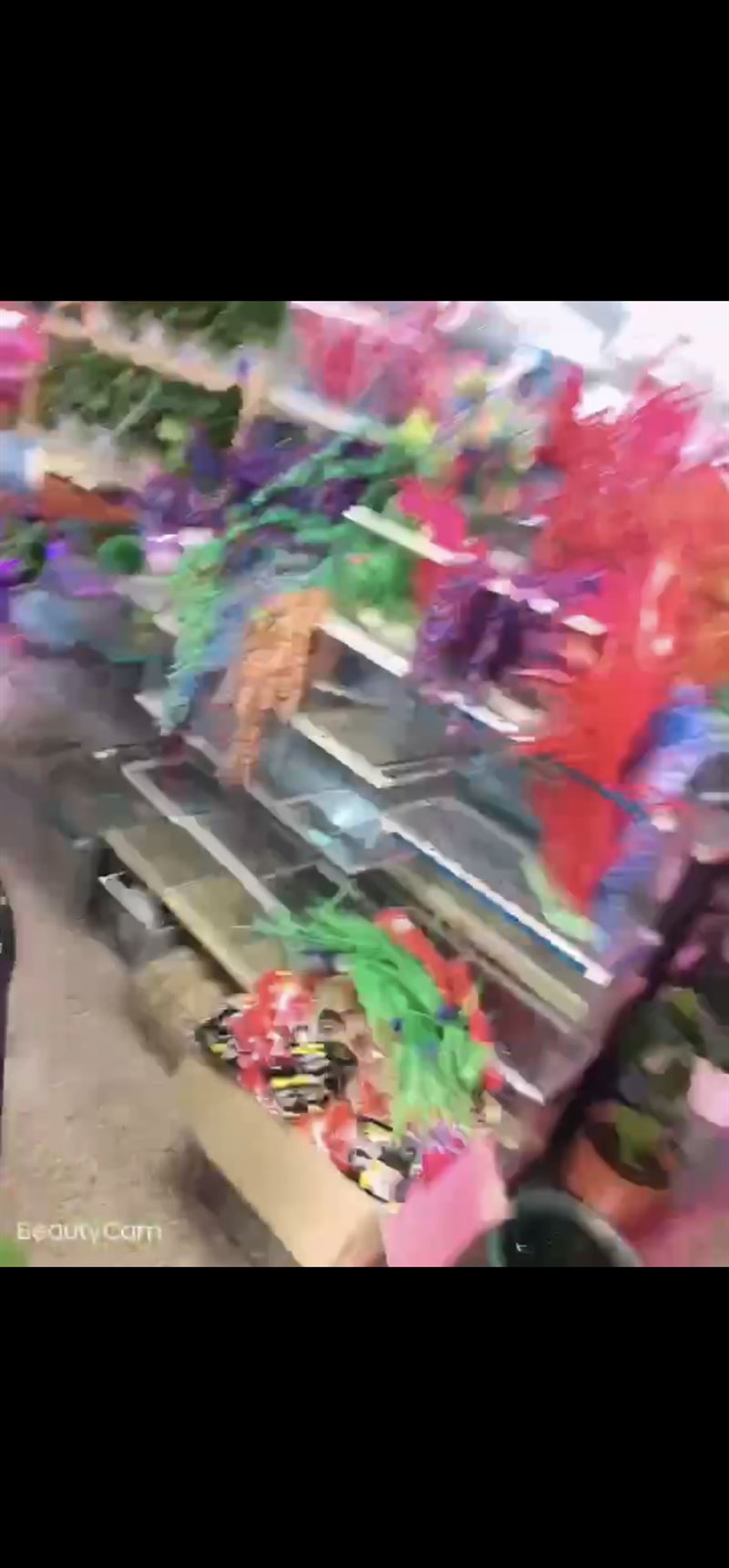 花鳥魚轉(zhuǎn)讓