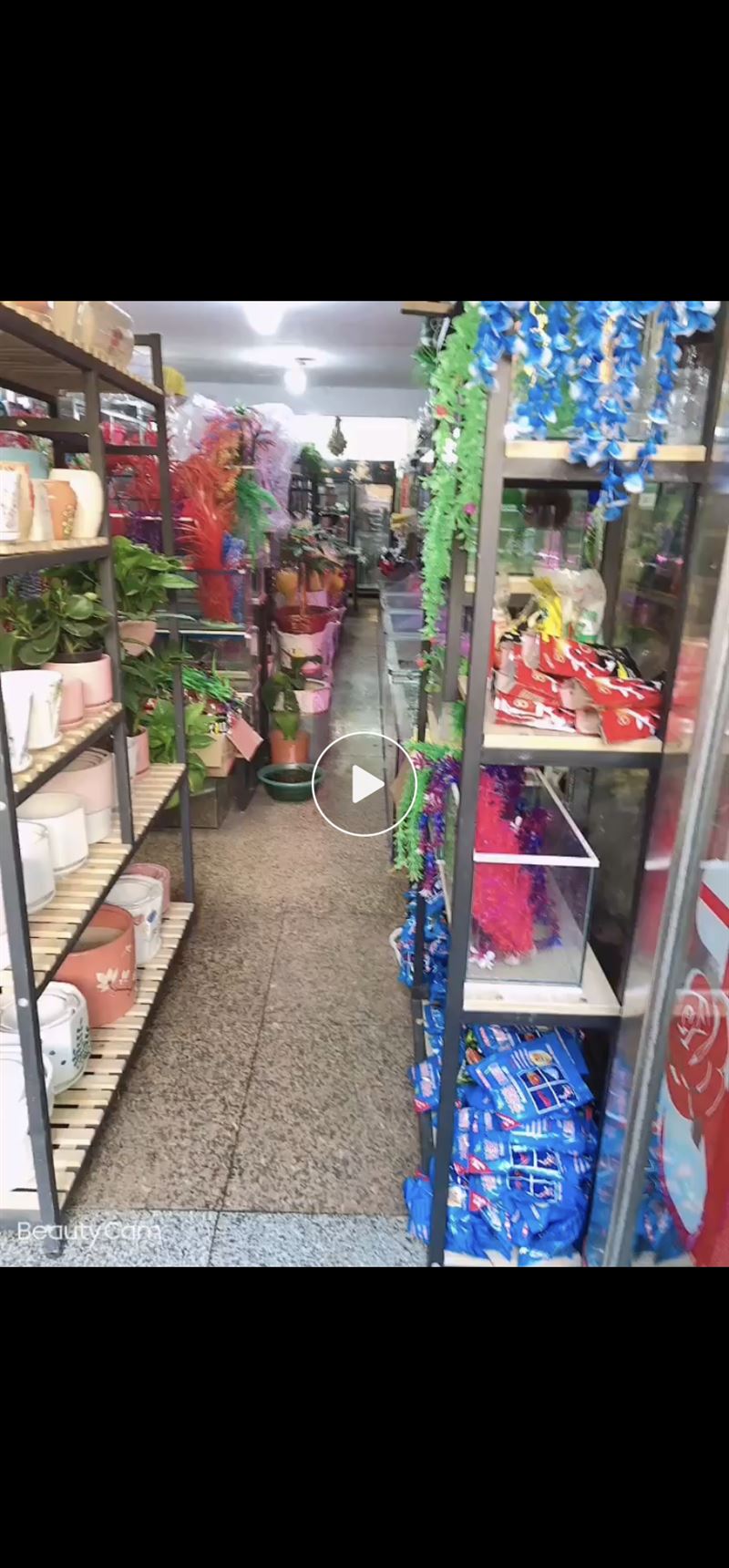 花鳥魚轉(zhuǎn)讓