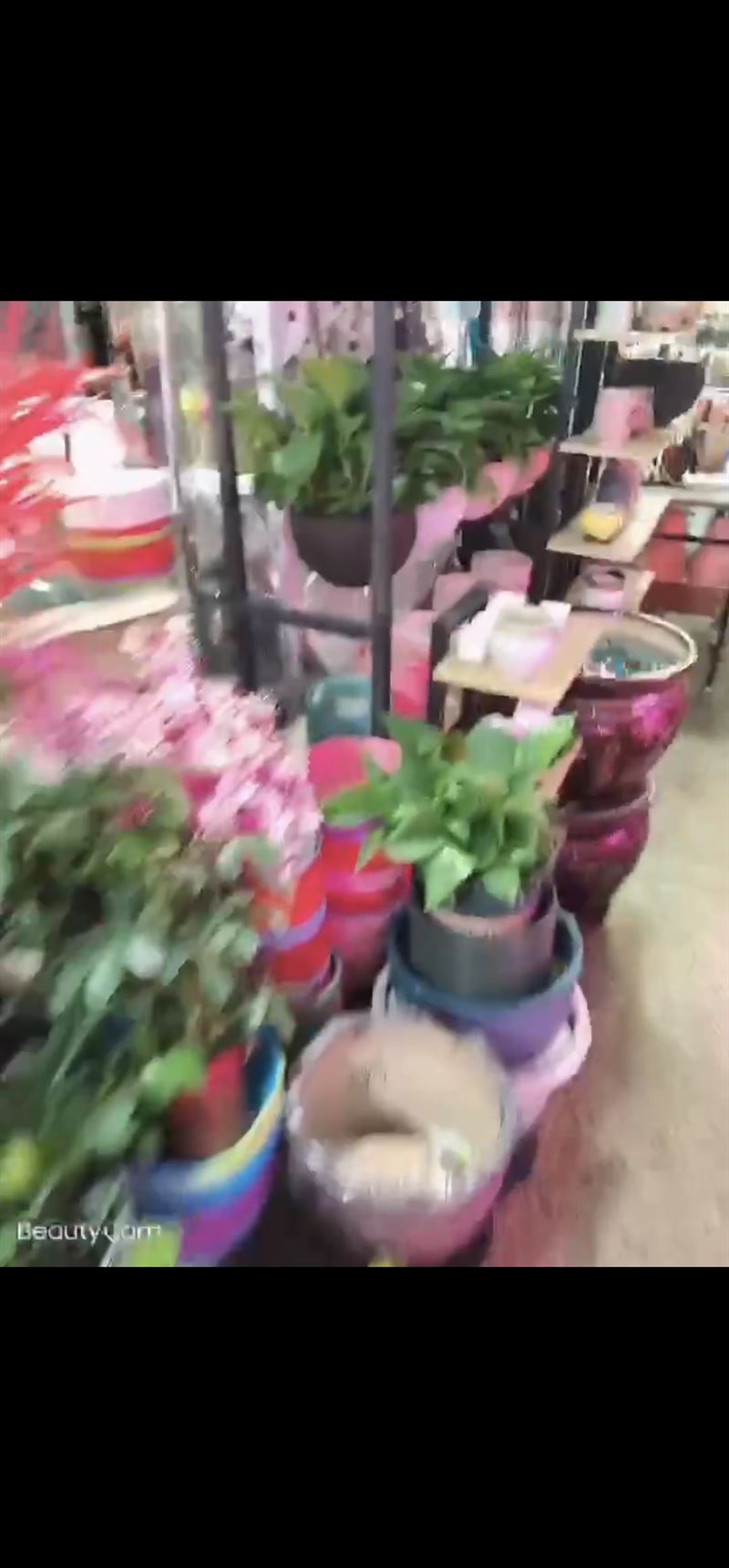 花鳥魚轉(zhuǎn)讓